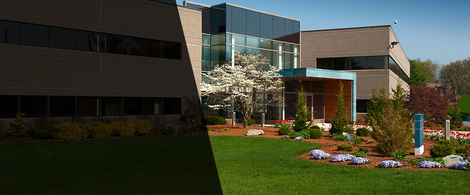 Dansville Landscapers