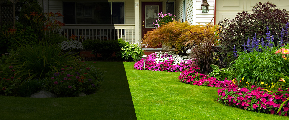 Dansville Landscapers