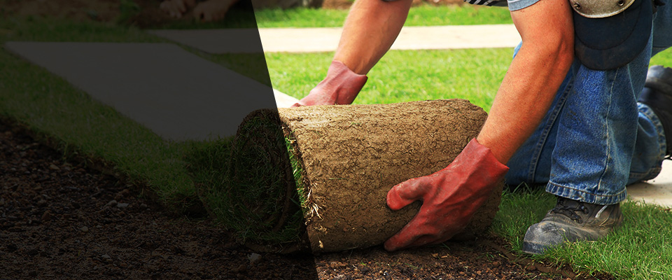 Dansville Landscapers